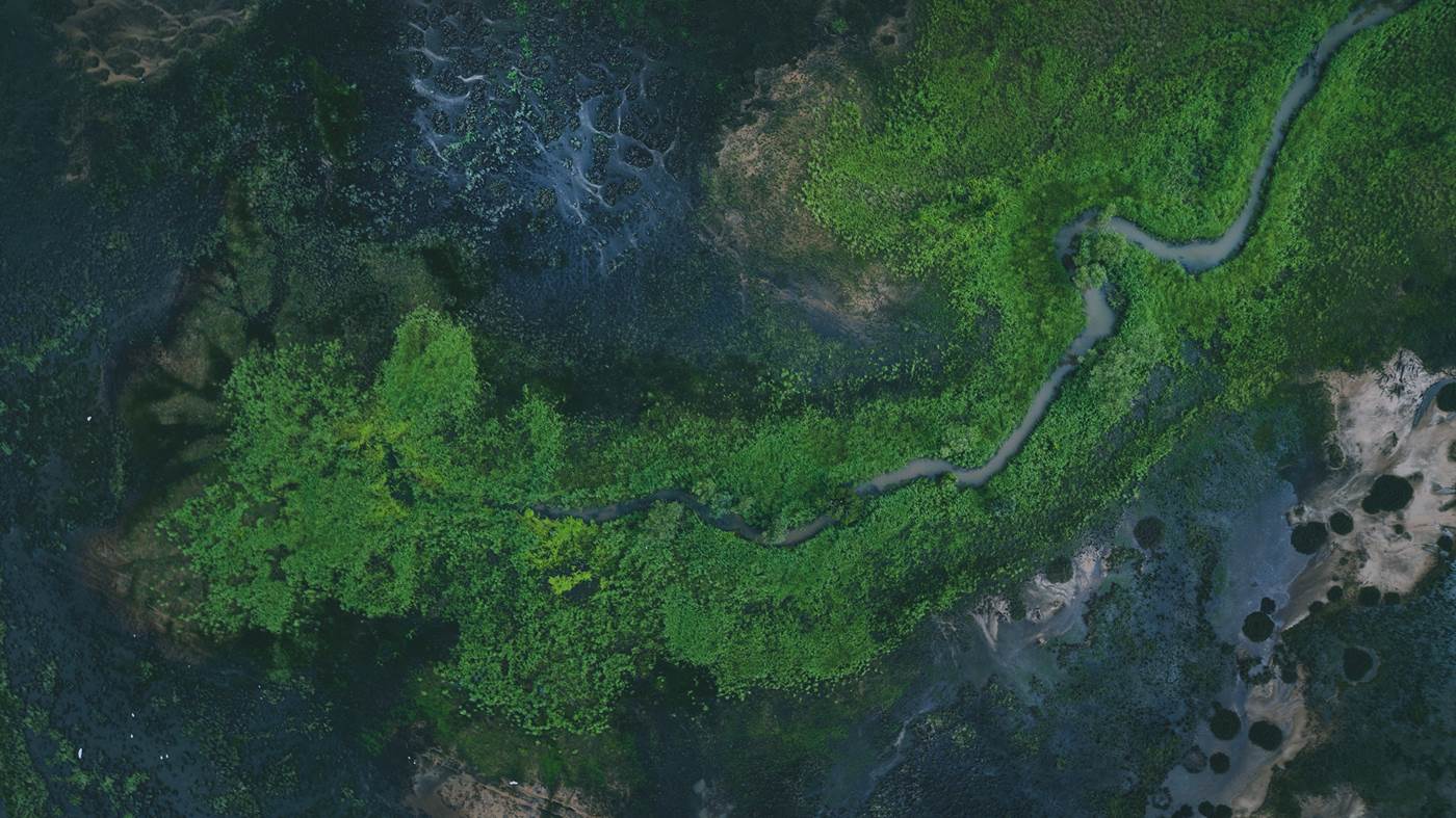 Cgpro Network Corporate Governance And Investor Stewardship 2100X1400