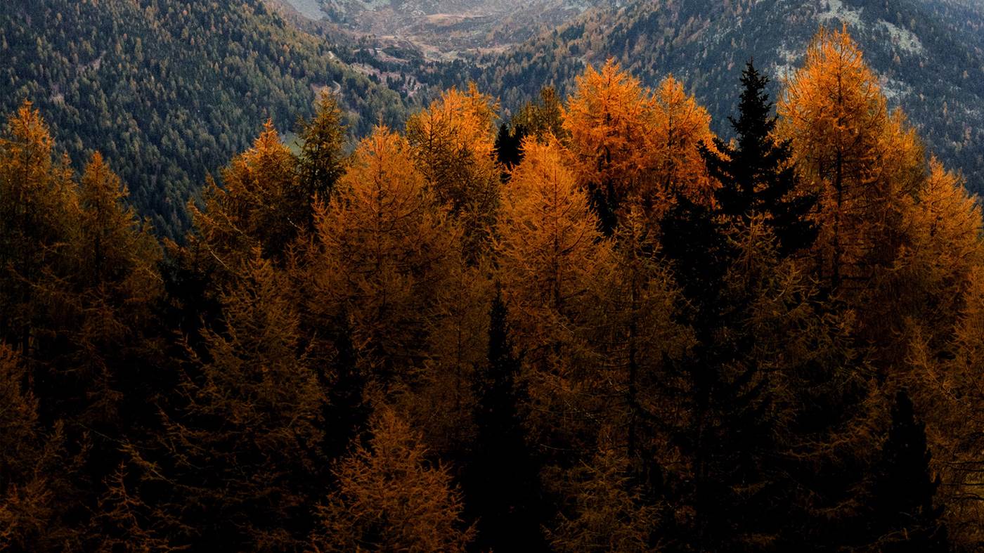 Paragon Case Study Cover 2